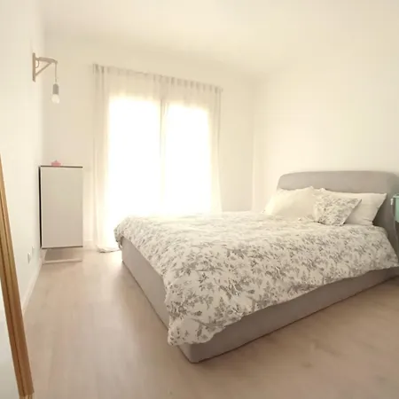 Vibes エリセイラ