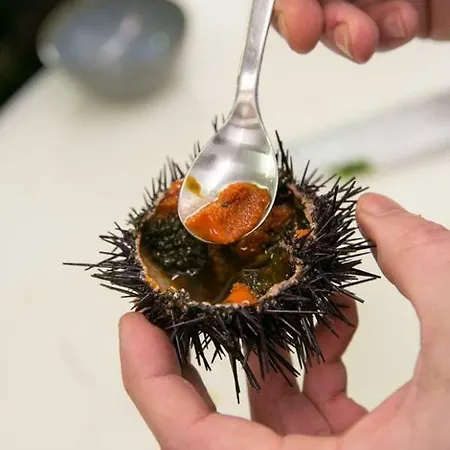 アパート Vibes *