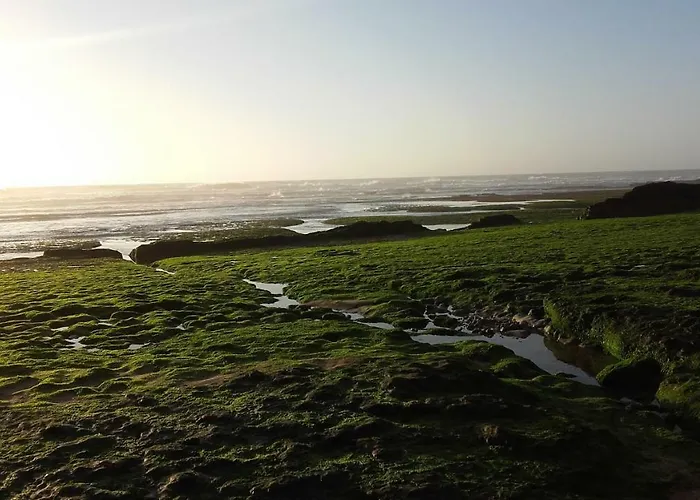 Vibes Daire Ericeira