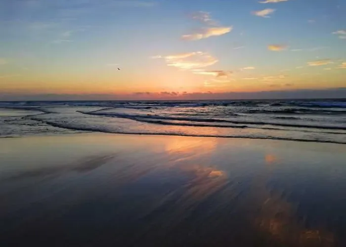 Vibes * אריסרייה